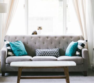 gray living room sofa with cat